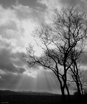 Winter sun, Lochliboside Hills
[url=http://www.streetmap.co.uk/map.srf?X=245895&Y=657272&A=Y&Z=120/] Map location. [/url]
