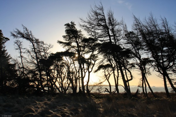 Winter Sun, Neilston Pad
[url=http://streetmap.co.uk/map?X=247660&Y=655139&A=Y&Z=115/] Map location. [/url]
