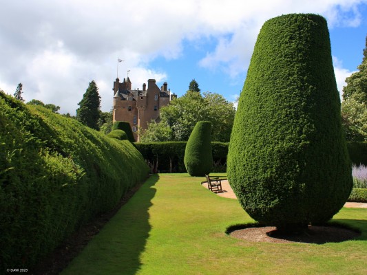 Yew hedging at Crathes Castle, Aberdeenshire
Most of the Yew hedging was replanted in the 19th century but some are still as old as 250 years.  in the 1980's an 18th century wine bottle was found lodged at the bottom of one of the hedges.
