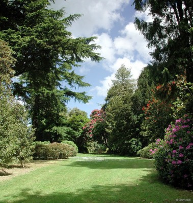 Castle Kennedy Garden, near Stranraer
An early summer view in [url=http://www.castlekennedygardens.co.uk/]Castle Kennedy Gardens[/url].  Apart from the spectacular rhododendrun displays at this time of year you might also spot the odd red squirrel.
