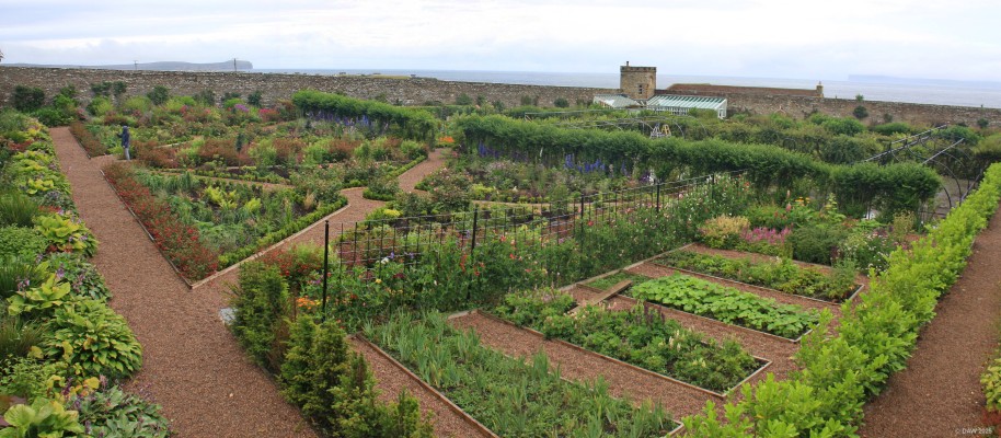 The walled garden, Castle of Mey
The walled garden at [url=https://www.castleofmey.org.uk/] Castle of Mey [/url] on the north coast of Caithness.
