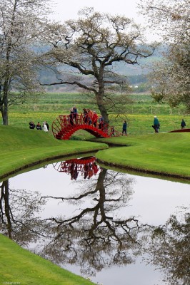 Crooked tree, Portrack House
The gardens of Portrack House, near Dumfries.  [url=http://www.streetmap.co.uk/map.srf?X=293542&Y=583150&A=Y&Z=120/] Map location. [/url]
