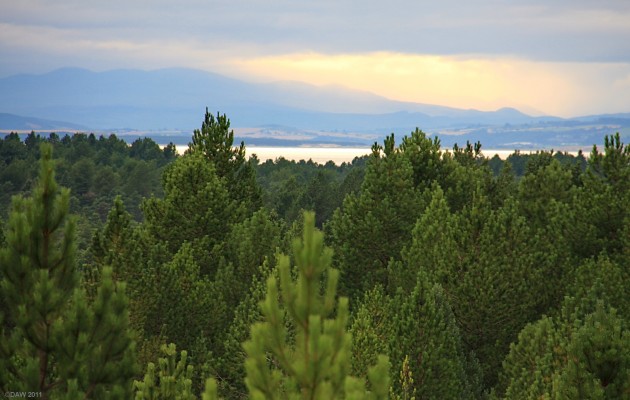 Dusk over Culbin Forest
Taken from the Hill 99 tower looking over the Moray Firth towards the Black Isle and beyond.  [url=http://www.streetmap.co.uk/map.srf?X=298664&Y=862355&A=Y&Z=120/] Map location. [/url]
