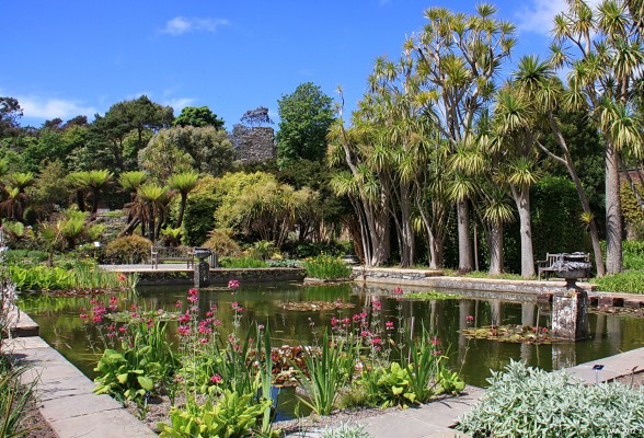 The fish Pond, Logan Gardens, Mull of Galloway
Logan is one of the gems hidden in the south west of Scotland.  Due to its proximity to the sea and surrounding shelter of trees it has many exotic plants not often seen in Scotland.
