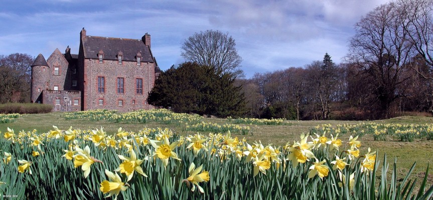 Formakin House, spring
Formakin Estate in spring is  carpeted with daffodils, you get glimpses of it from the road through the trees.   My Mother tells me that in the 1930's even small girls picking any of them were greeted by a man with a shotgun.  It has to be said that today visitors still aren't particularly welcomed by the owners of the flats in the estate buildings.  [url=http://www.streetmap.co.uk/map.srf?X=240952&Y=670935&A=Y&Z=115/] Map location. [/url]

