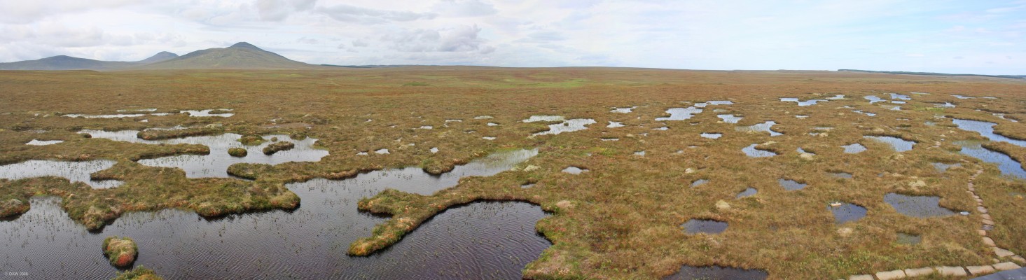 The Flow country, Sutherland
The most intact and extensive blanket bog system in the world.  This photo is taken from the viewing tower at Forsinard Flows Nature Reserve.  Its so flat you could watch your dog run away for a week.
