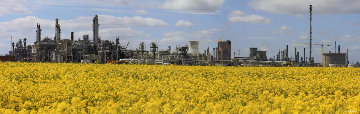 Grangemouth Petrochecmical plant
Grangemouth Refinery started operation in 1924 as Scottish Oils. Since then it has expanded greatly and had several owners, the latest being Ineos.  [url=http://streetmap.co.uk/map.srf?X=296775&Y=680510&A=Y&Z=120/] Map location. [/url]
