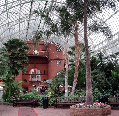 Winter Garden, Peoples Palace
Looking back towards the Peoples Palace in the Winter Gardens at Glasgow Green.[url=http://www.streetmap.co.uk/map.srf?X=260037&Y=664262&A=Y&Z=115/] Map location. [/url]
