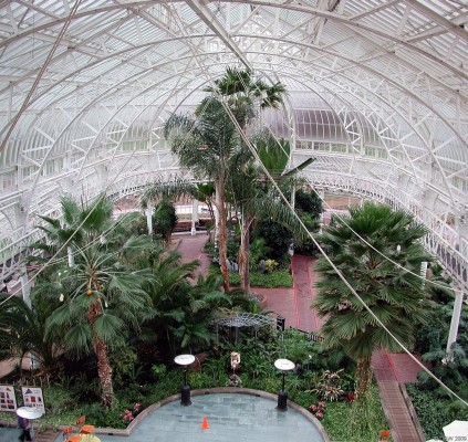 The Winter Garden, Peoples Palace, Glasgow Green
Built in 1898 as a museum and winter garden for the people of the east end of Glasgow.  Today it has a museum telling the story of the people of Glasgow from 1750 to the present day.  It looks deserted here because this photo was taken just before it closed early for Hogmanay in 2006.  [url=http://www.streetmap.co.uk/map.srf?X=260037&Y=664262&A=Y&Z=115/] Map location. [/url]
