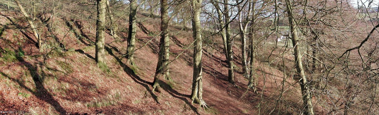 Looking down Killoch Glen
A winter view looking down Killoch Glen, the former Killoch farm can just be made out through the trees. [url=http://www.streetmap.co.uk/map.srf?X=247842&Y=658012&A=Y&Z=115/] Map location. [/url]
