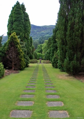 Benmore Botanic Garden
Getting a perspective on the formal garden at Benmore.  [url=http://www.streetmap.co.uk/map.srf?X=214032&Y=685686&A=Y&Z=115/] Map location. [/url]
