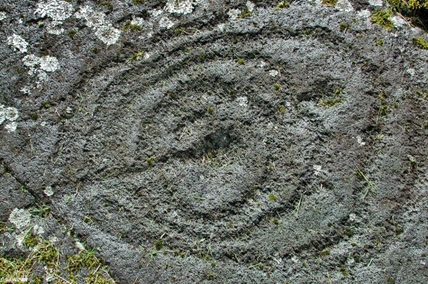 Ring markings, Achnabreck, near Kilmartin Glen
Just one of a whole collection of ring carvings on an exposed sheet of rock at Achnabreck.  It is one of the most prolific examples of such carvings in UK, difficult to date but thought to be around 4,000 years old.  [url=http://www.multimap.com/map/browse.cgi?lat=56.0603&lon=-5.4423&scale=25000&icon=x/]Map location[/url]
