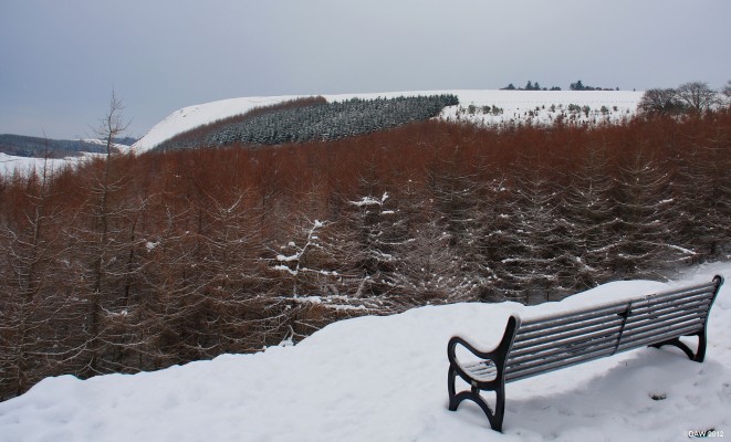 East Renfrewshire Community Woodland
Less of a view here every year as the trees grow bigger in East Renfrewshire Community Woodland around the Neilston Pad. [url=http://www.streetmap.co.uk/map.srf?X=247035&Y=654762&A=Y&Z=115/] Map location. [/url]
