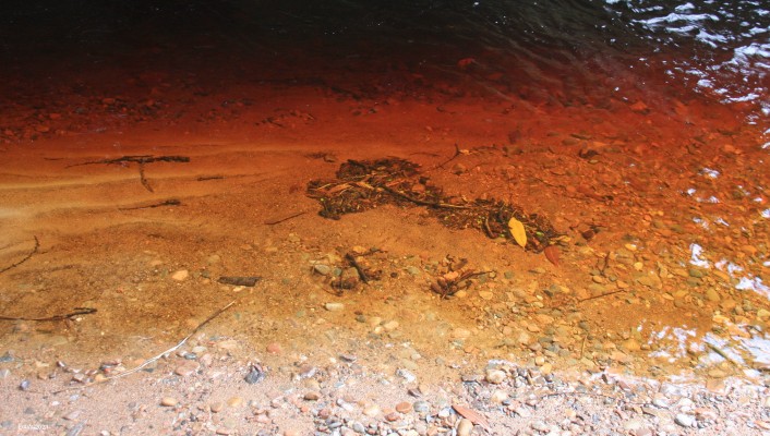 Allt Dearg burn, Cawdor
The Allt Dearg burn that flows past Cawdor Castle with peat stained water after heavy rain.
