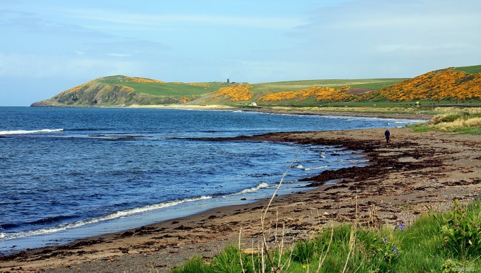 Looking along the shore from Ballantrae
Looking towards Bennane Head from Ballantrae, if you look close you can see Bennane Cave in the distance. [url=http://www.streetmap.co.uk/map.srf?X=208403&Y=583152&A=Y&Z=120/] Map location. [/url]
