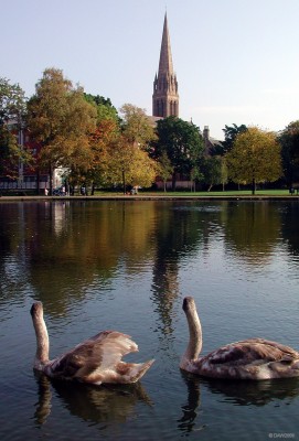 The pond, Queens Park
Some camera shy swans at Queens Park.  Queens park Baptist CHurch built in 1878 is in the back ground.   [url=http://www.streetmap.co.uk/map.srf?X=257692&Y=662412&A=Y&Z=120/] Map location. [/url]
