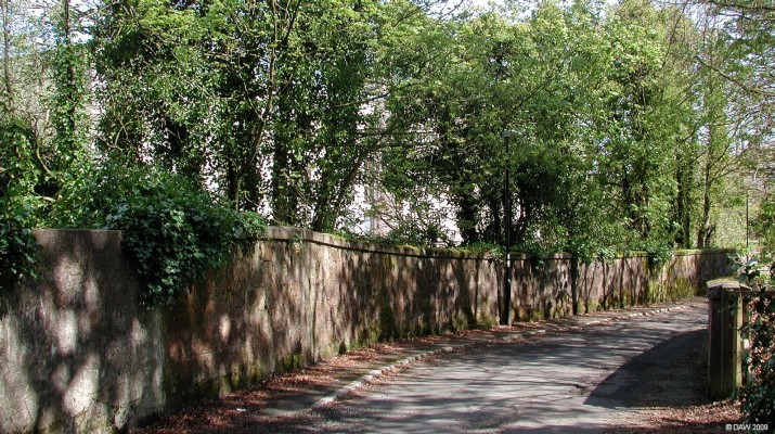 Shadows, Crofthead Mill
Spring shadows on the lane behind Crofthead Mill.  [url=http://www.streetmap.co.uk/map.srf?X=247250&Y=657262&A=Y&Z=115/] Map location. [/url]
