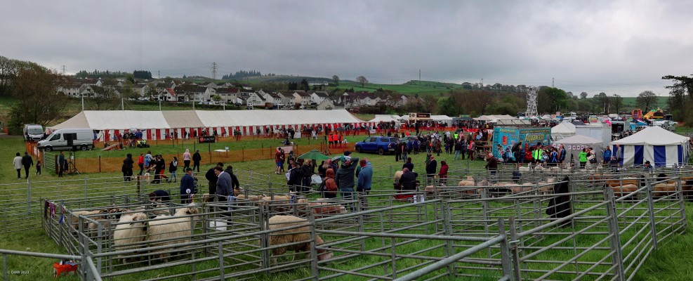 The Neilston Agricultural Show, 2023
An overview of the showground around 11am before most of the crowds had arrived.  New this year was the Ferris Wheel on the right.
