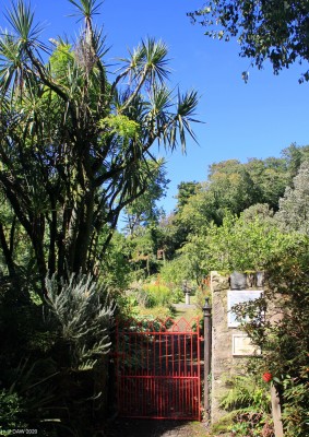 Throught the garden Gate, Achamore, Gigha
The entrance to the walled garden at Achamore gardens on the island of Gigha. [url=http://streetmap.co.uk/map.srf?X=164216&Y=647915&A=Y&Z=115/] Map location. [/url]
