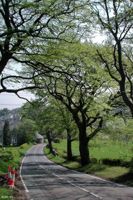 Uplawmoor Road, Neilston
Looking down the hill towards Neilston on a spring day.  [url=http://www.streetmap.co.uk/map.srf?X=246617&Y=656644&A=Y&Z=115/] Map location. [/url]
