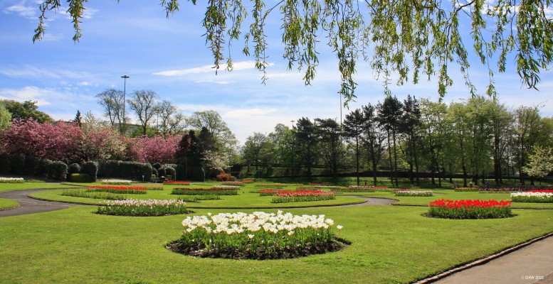 Victoria Park, Glasgow, 2018
