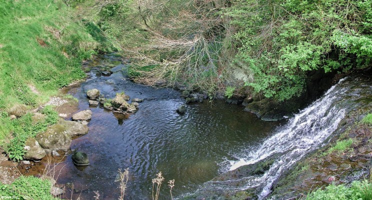 Waterfall, Midgehole Glen
Legend has it that during the reformation period Neilston Church was plundered and the holy images taken and thrown into the the pools in the Levern Water here.  Hence the name Imagehole Glen was given which was corrupted into Midgehole, it belong to the Midges now though. [url=http://www.streetmap.co.uk/map.srf?X=246712&Y=656082&A=Y&Z=115/] Map location. [/url]
