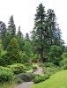 Dawyck_Botanical_Garden.jpg