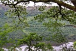 Loch_Lomond_through_the_trees.jpg