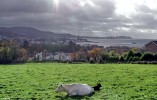 Over_looking_Largs_from_the_North.jpg