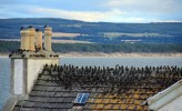 Filename=Starlings2C_Burghead.jpg
Filesize=907KiB
Dimensions=1939x1180
Date added=Mar 08, 2023 Starlings2C_Burghead.jpg