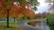 The_Pond,_Autumn,_Victoria_Park.jpg