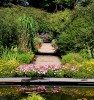 The_pond2C_Dunvegan_Castle_Garden.jpg