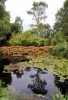 The_pond_Inverewe_gardens.jpg