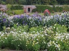 Walled_Garden2C_Gordon_Castle_2018.jpg