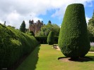 Yew_Hedging2C_Crathes_Castle.JPG