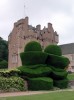 sculptured_topiary,_crathes_castle.jpg