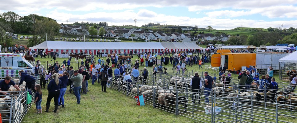 2025, Panorama of the 200th Neilston show showground on 2nd May 2025
