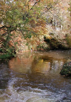 Autumn colours reflected in the Levern burn, Barrhead
[url=http://www.streetmap.co.uk/map.srf?X=250605&Y=659772&A=Y&Z=120/] Map location. [/url]
