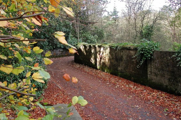 Autumn colours, Neilston
Taken in the narrow lane that runs along the back of Crofthead Mill, a view that I suspect hasn't changed much since the days when the Mill was running.  [/url=http://www.streetmap.co.uk/map.srf?X=247272&Y=657280&A=Y&Z=115/] Map location. [/url]
