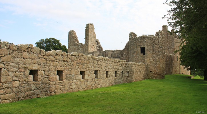 Tolquhon Castle, Aberdeenshire
The twelve niches on the outer wall of the castle were for skeps, a type of straw beehive.
