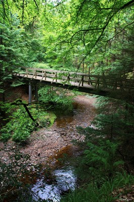 Footbridge, Cawdor Castle grounds
Footbridge over the Reireach Burn in the extensive grounds of Cawdor Castle. [url=http://www.streetmap.co.uk/map.srf?X=284619&Y=849487&A=Y&Z=115/] Map location. [/url]
