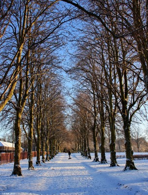Cowan Park, Barrhead
A crisp winter morning at Cowan Park. [url=http://www.streetmap.co.uk/map.srf?X=250976&Y=659343&A=Y&Z=115/] Map location. [/url]
