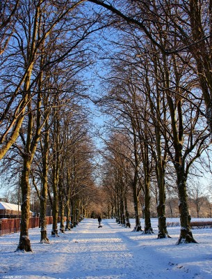 Cowan Park, Barrhead
A crisp winter morning at Cowan Park. [url=http://www.streetmap.co.uk/map.srf?X=250976&Y=659343&A=Y&Z=115/] Map location. [/url]
