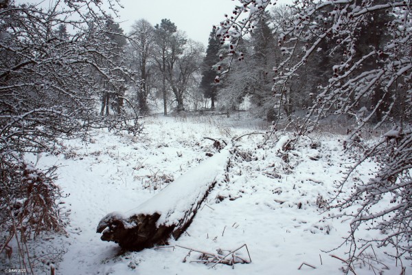 Grounds of Cowden Hall, Neilston 2018
[url=http://streetmap.co.uk/map?X=246719&Y=657177&A=Y&Z=115/] Map location. [/url]
