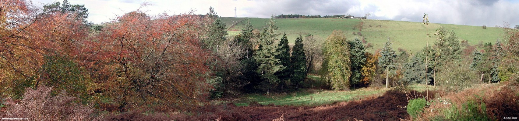 Cowden Hall grounds in Autumn
Over looking the former grounds of Cowden hall in Autumn.  [url=http://www.streetmap.co.uk/map.srf?X=246910&Y=657127&A=Y&Z=115/] Map location. [/url]
