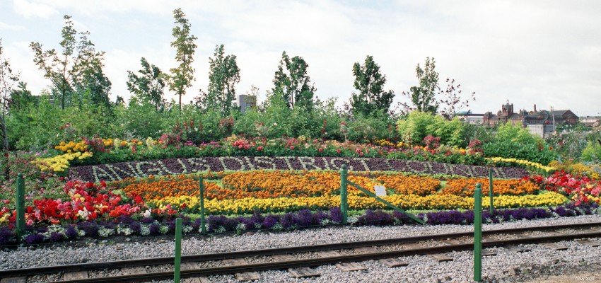 Floral display, Glasgow Garden Festival
Althoughthe festival was based in Glasgow there were contributions from all around Scotland.
