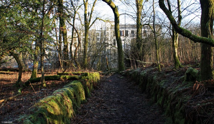 Cowden Hall grounds, Neilston
One of the old garden paths around where Cowden Hall once stood.  From the windows of Cowden hall the mill owner would have been able to look out and survey his empire.  Crofthead Mill can be seen through the trees.[url=http://www.streetmap.co.uk/map.srf?X=247150&Y=657340&A=Y&Z=115/] Map location. [/url]
