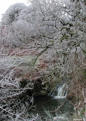 Killoch Glen, winter
The lower waterfall at Killoch Glen on a very frosty morning.  [url=http://www.streetmap.co.uk/map.srf?X=247855&Y=657962&A=Y&Z=120/] Map location. [/url]
