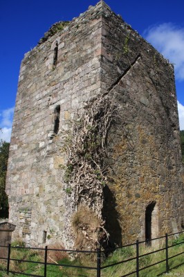 Kilmun Church Tower ruin
This tower is all that remains of the earlier collegiate church at Kilmun.  The Church was burned down by the Lamonts in 1645 during a dispute with the Campbells. [url=http://streetmap.co.uk/map?X=216584&Y=682125&A=Y&Z=120/] Map location. [/url]
