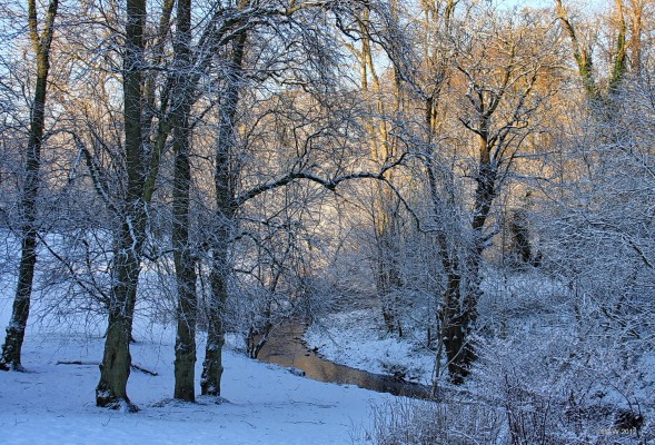 Levern Water near the old Dovecothall Mill
[url=http://www.streetmap.co.uk/map.srf?X=250645&Y=659262&A=Y&Z=115/] Map location. [/url]
